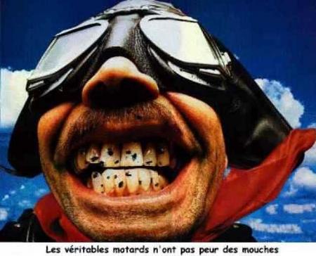 humoure