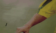 ronaldinho